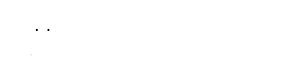 Owl Company Argentina │ Owl Argentina